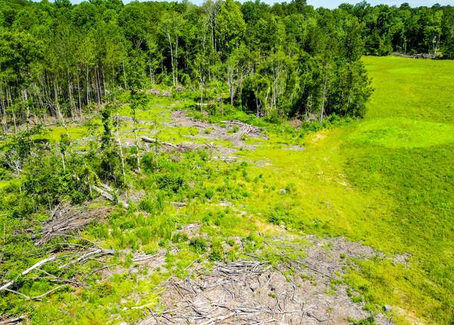 Property at Parcel F S Mill Creek Rd, Purvis, MS 39475
