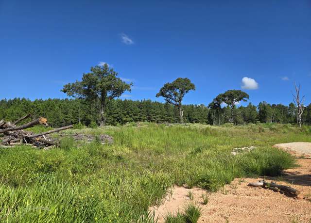 Property at 00 Sapphire, Purvis, MS 39475