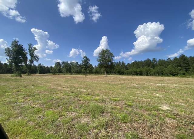 Property at 30.02 Acre Old Hwy 49, Hattiesburg, MS 39401