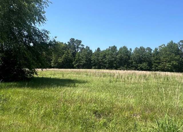 Property at 0 Pinehurst, Carriere, MS 39426