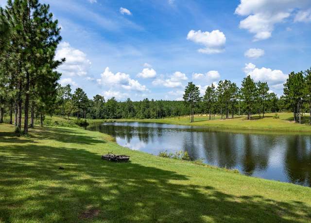 Property at 171 Alonzo Boone Rd, Purvis, MS 39475