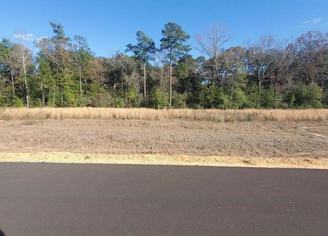 Property at 27 Sandhill, Hattiesburg, MS 39402