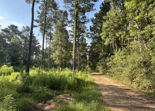 Property at 64 Dewey Smith Rd, Lumberton, MS 39455