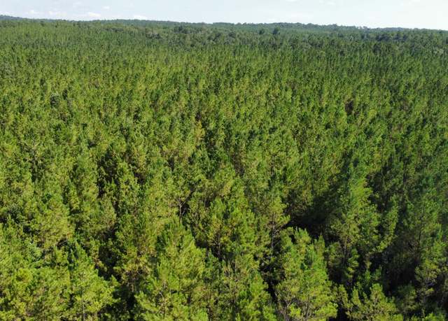 Property at 00 Vernal River Rd, Lucedale, MS 39452