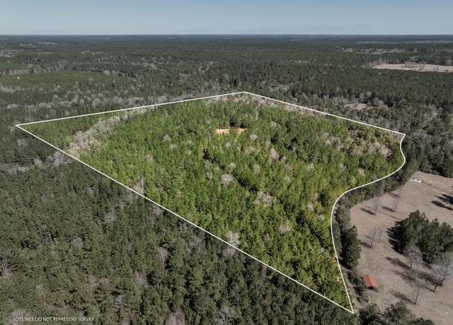 Property at 0 Matthew Johnson Rd, Wiggins, MS 39577