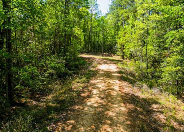 Property at 15+/- Acre Rockhill Rd, Purvis, MS 39475