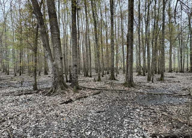 Property at 0 Ms-15, Ellisville, MS 39437