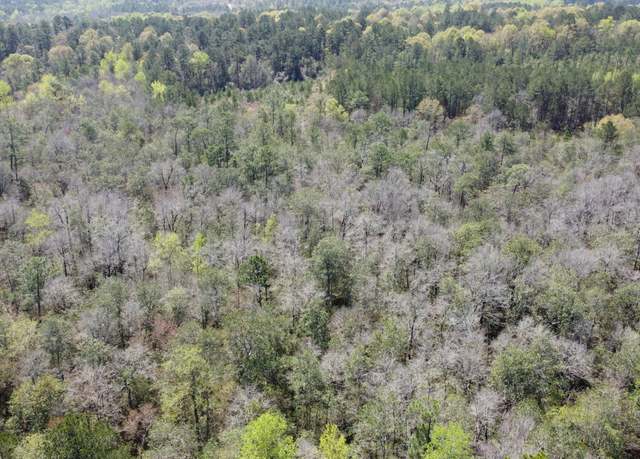 Property at 0 Otho Seals Rd, Lumberton, MS 39455