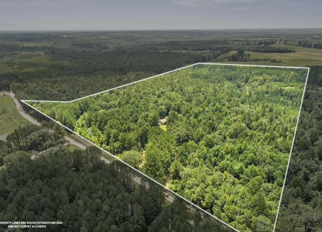 Property at 518 Scr 104, Mize, MS 39116