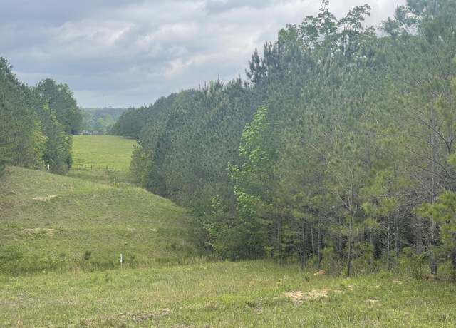 Property at 0 Co Rd 1725, Bay Springs, MS 39422