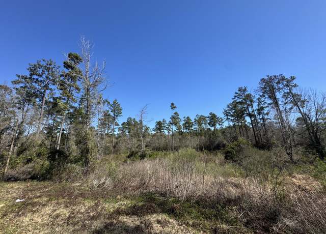 Property at 0 Sun Cir, Petal, MS 39465