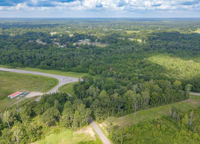 Property at 0 Piatonia Rd, Lumberton, MS 39455