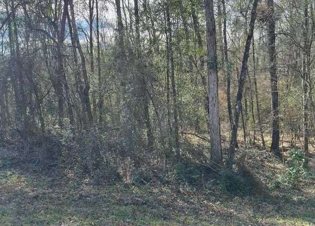 Property at 0 Village Loop, Petal, MS 39465