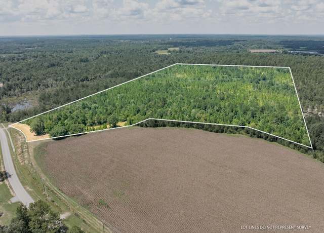 Property at 60+/- AC Luther Carter Rd, Petal, MS 39465