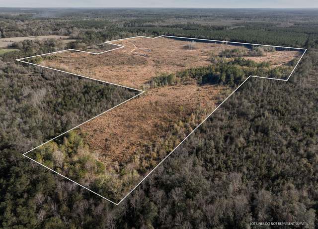 Property at 84 ac Hattie Ln, Columbia, MS 39429