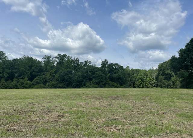 Property at 000 Hwy 11, Purvis, MS 39475