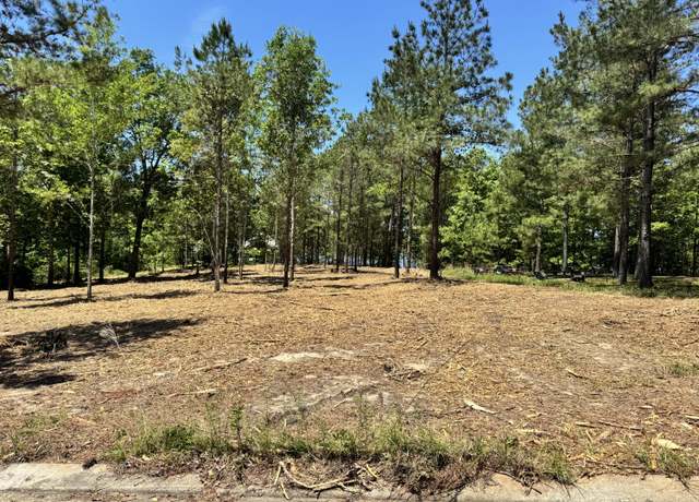 Property at 21 Sedgeway, Lumberton, MS 39455