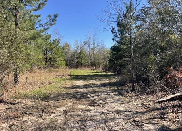 Property at TBD Ten Mile Creek Rd, Foxworth, MS 39483