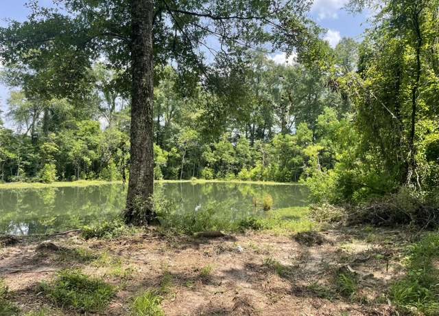 Property at TBD S Frontage, Columbia, MS 39429
