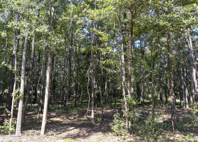 Property at 5 Acres Ray St, Prentiss, MS 39474