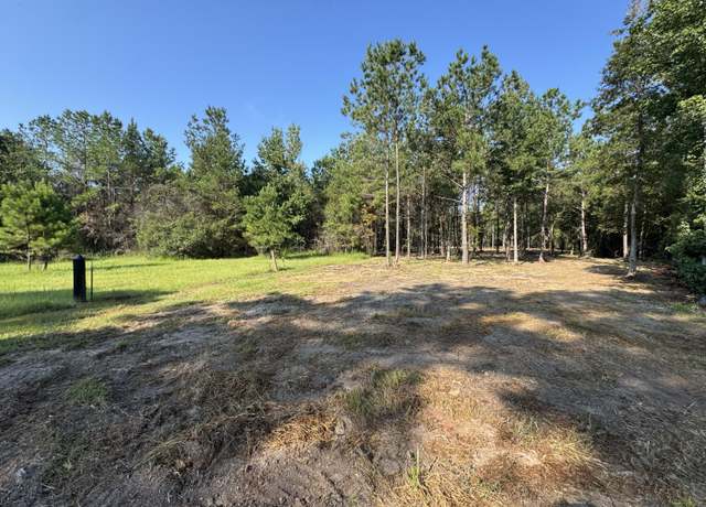 Property at 151 Burger, Petal, MS 39465