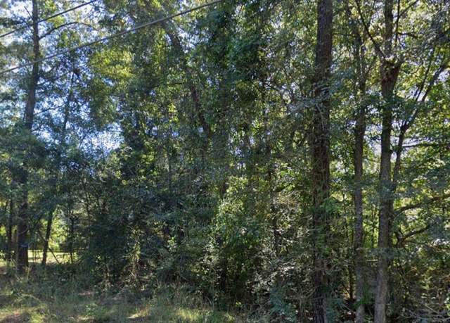 Property at 258 Co Rd 167, Stonewall, MS 39363