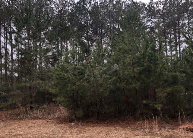 Property at 60 Belletower Turn, Hattiesburg, MS 39402