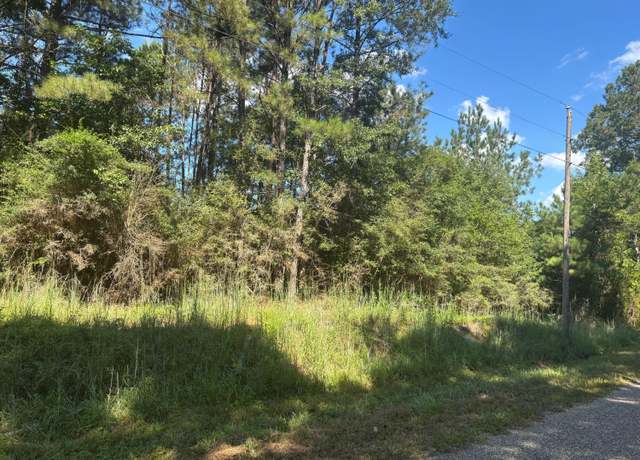 Property at 0 Palestine Loop, Oak Vale, MS 39656