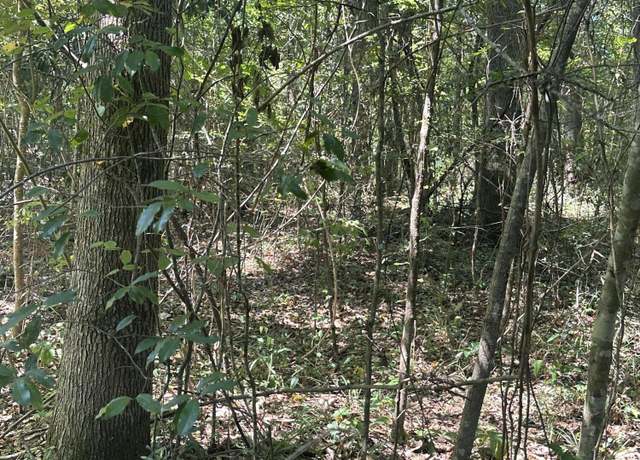 Property at 0A Riverwood Blvd, Hattiesburg, MS 39401
