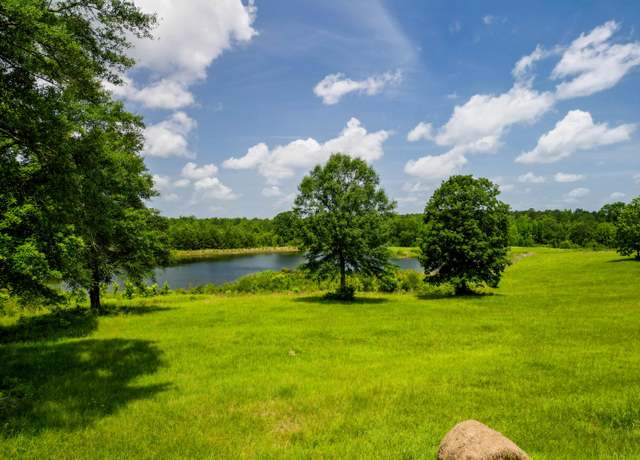 Property at 603 Denham Winchester Rd, Waynesboro, MS 39367