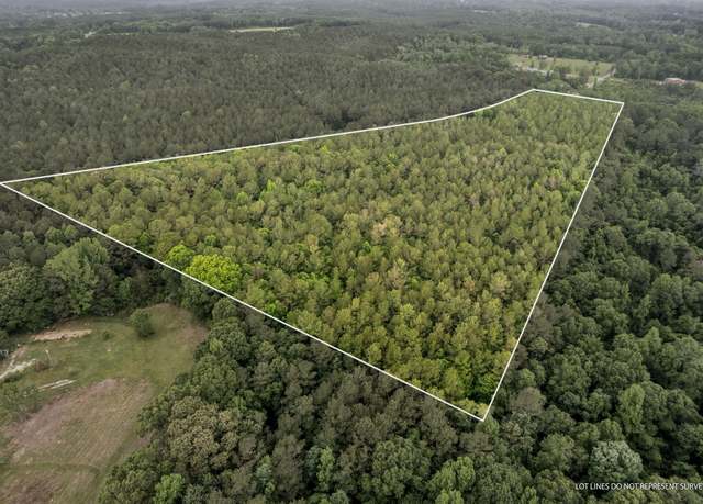 Property at 22.5 Acres Noel Townsend Rd, Seminary, MS 39479