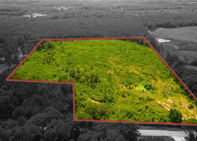 Property at 536 Bethel Church Rd, Seminary, MS 39479