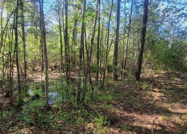 Property at NHN Dupont Harts Chapel Rd, Poplarville, MS 39570