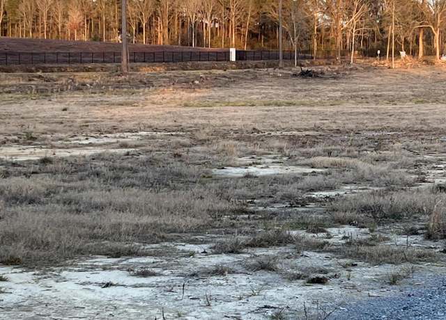 Property at Lot 7 1 AC Patton Creek Rd, Waynesboro, MS 39367