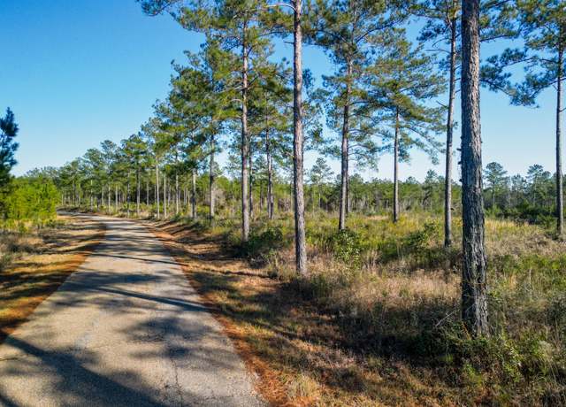 Property at 001 A Busby Rd, Ellisville, MS 39437