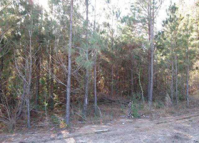 Property at Lot 3 Parkview Ests, Ellisville, MS 39437