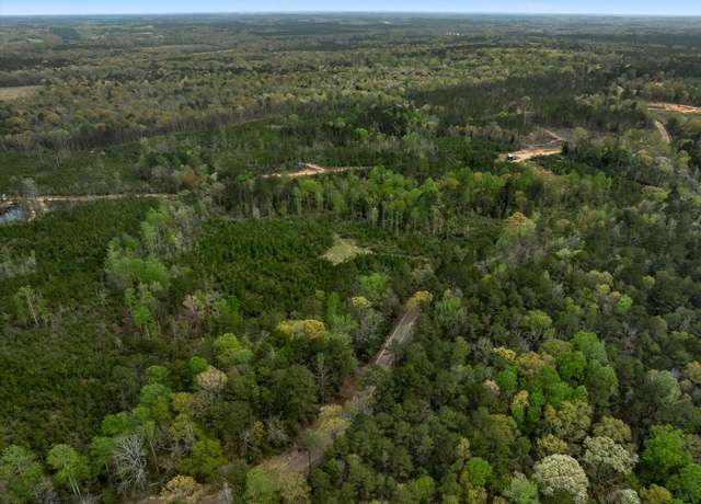 Property at Parcel 3 Stephens Cemetery Rd, Silver Creek, MS 39663
