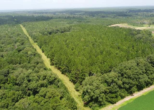 Property at 0 Buck Creek Rd, Richton, MS 39476