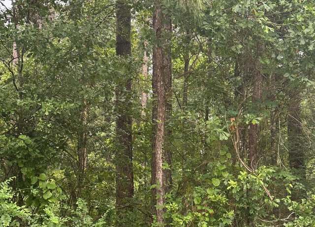 Property at 00 Glade Paulding Rd, Laurel, MS 39443