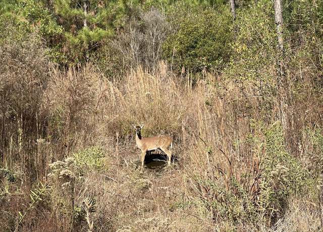 Property at 00 Stanford Lake Rd, Poplarville, MS 39470