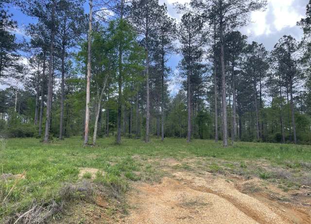 Property at 177 Jo Ann Dr, Sumrall, MS 39482