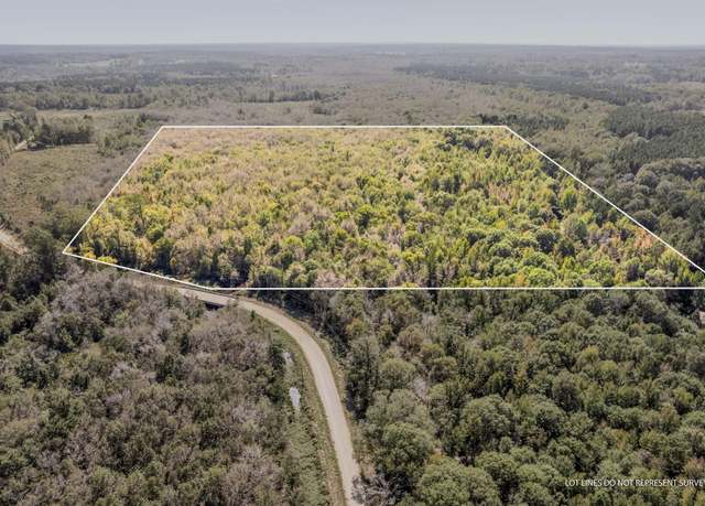 Property at 83 Bill Willis Rd, Union, MS 39365