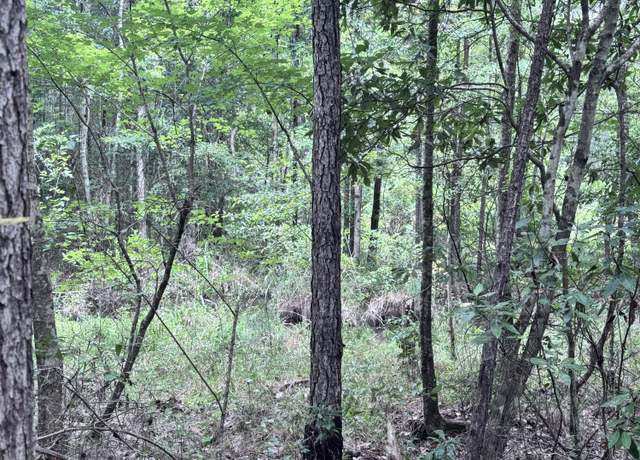 Property at 00 Lars Road (lot 36), Lumberton, MS 39455