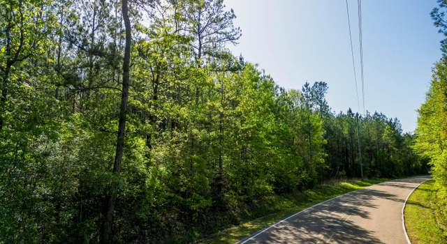 Photo of +/- 93 Acres Lott Town Rd, Hattiesburg, MS 39402