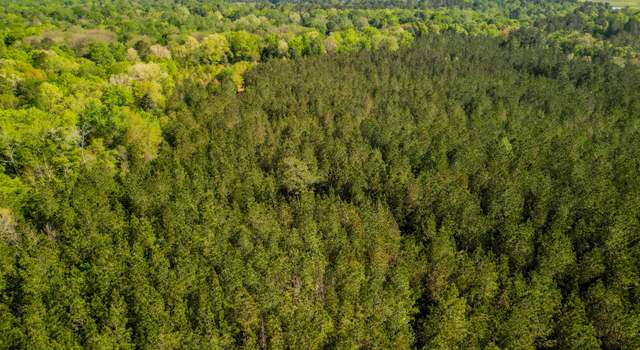 Photo of +/- 93 Acres Lott Town Rd, Hattiesburg, MS 39402