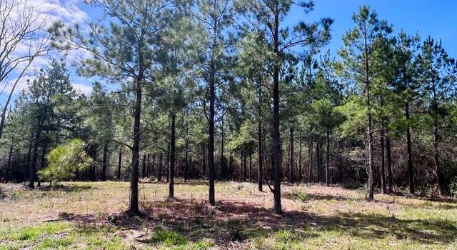 Photo of 21.41 AC Egg Farm Rd, Poplarville, MS 39470