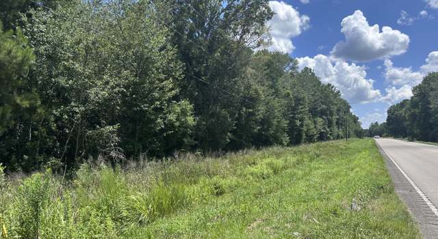 Photo of 000 US Hwy 11, Moselle, MS 39459