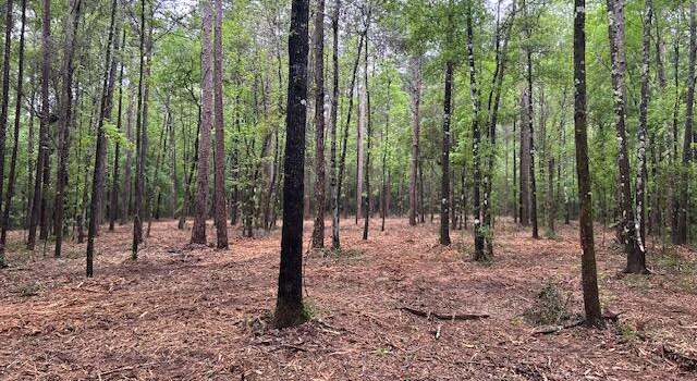Photo of 0 Rogers Ln, Foxworth, MS 39483