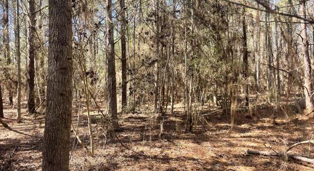 Photo of 175 Hammond, Oak Vale, MS 39656