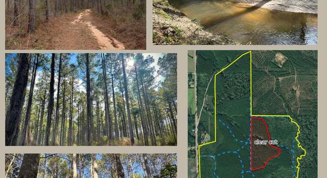 Photo of 0 Hwy 13/percy Bates, Oak Vale, MS 39656